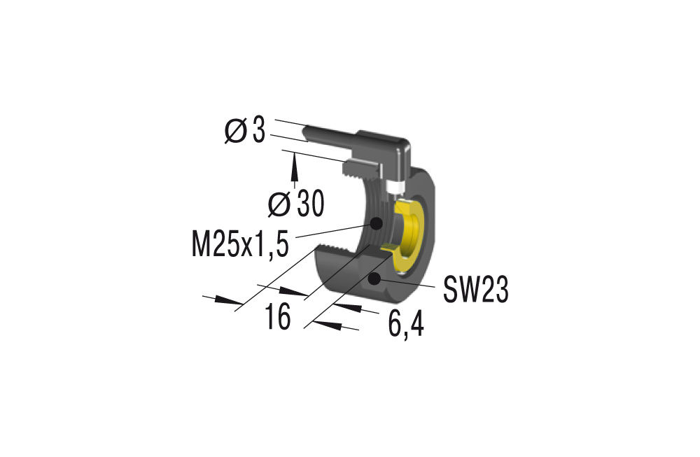 SP25