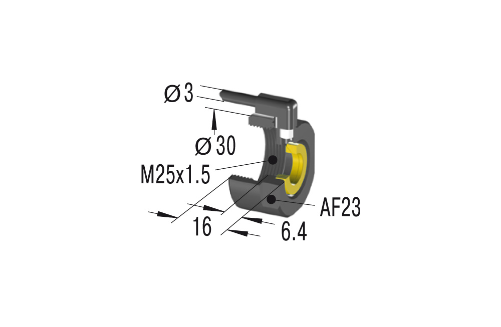 SP25